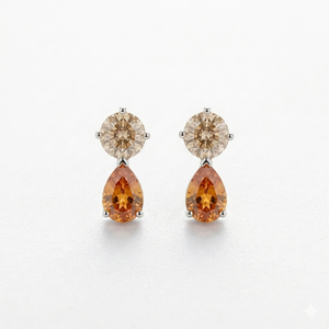 Enchanted Harvest Light Brown & Fiery Orange Silver Earrings