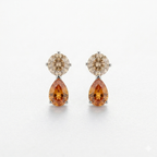 Enchanted Harvest Light Brown & Fiery Orange Silver Earrings