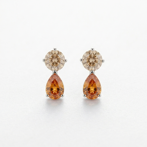 Enchanted Harvest Light Brown & Fiery Orange Silver Earrings
